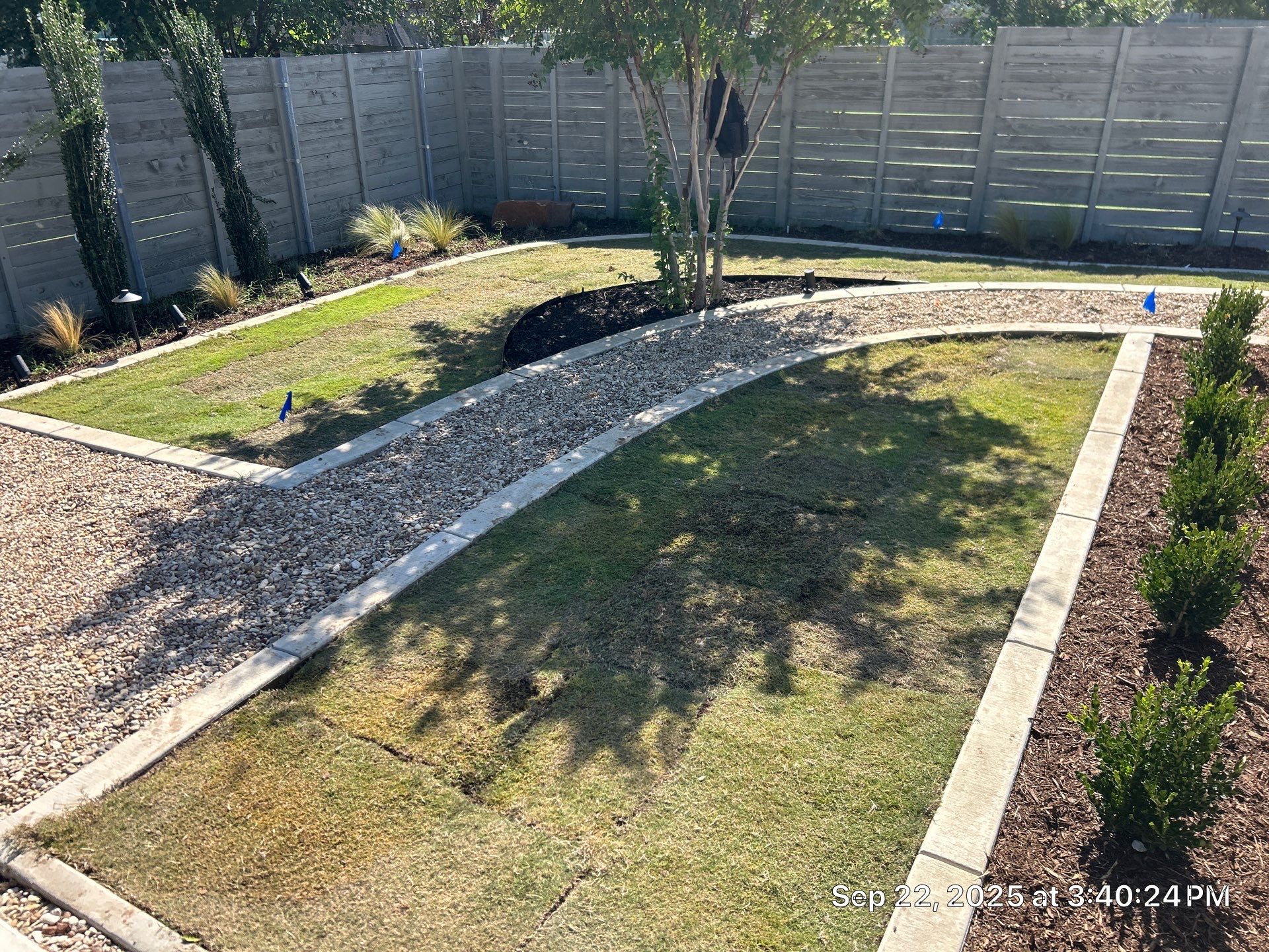 Small Pool with Landscaping by Pinnacle Pools and Spas - DFW