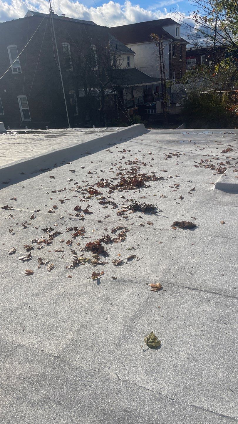 Flat Roof Cleanup and gutter cleaning.  by Above All Gutters 