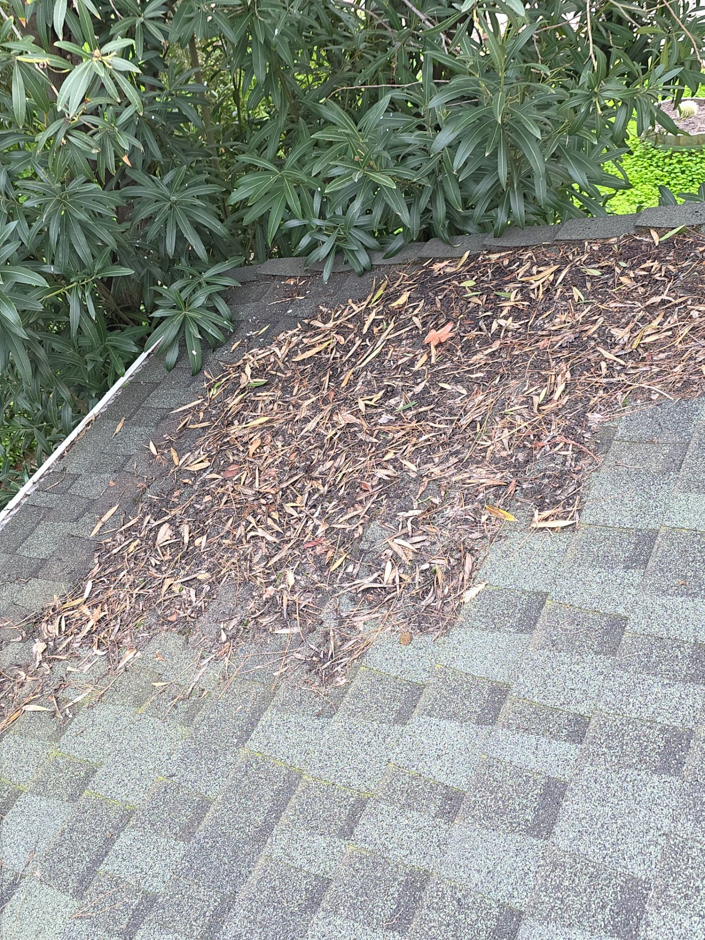Roof Rejuvenation using Roof Maxx Treatment by Roof Maxx of Folsom