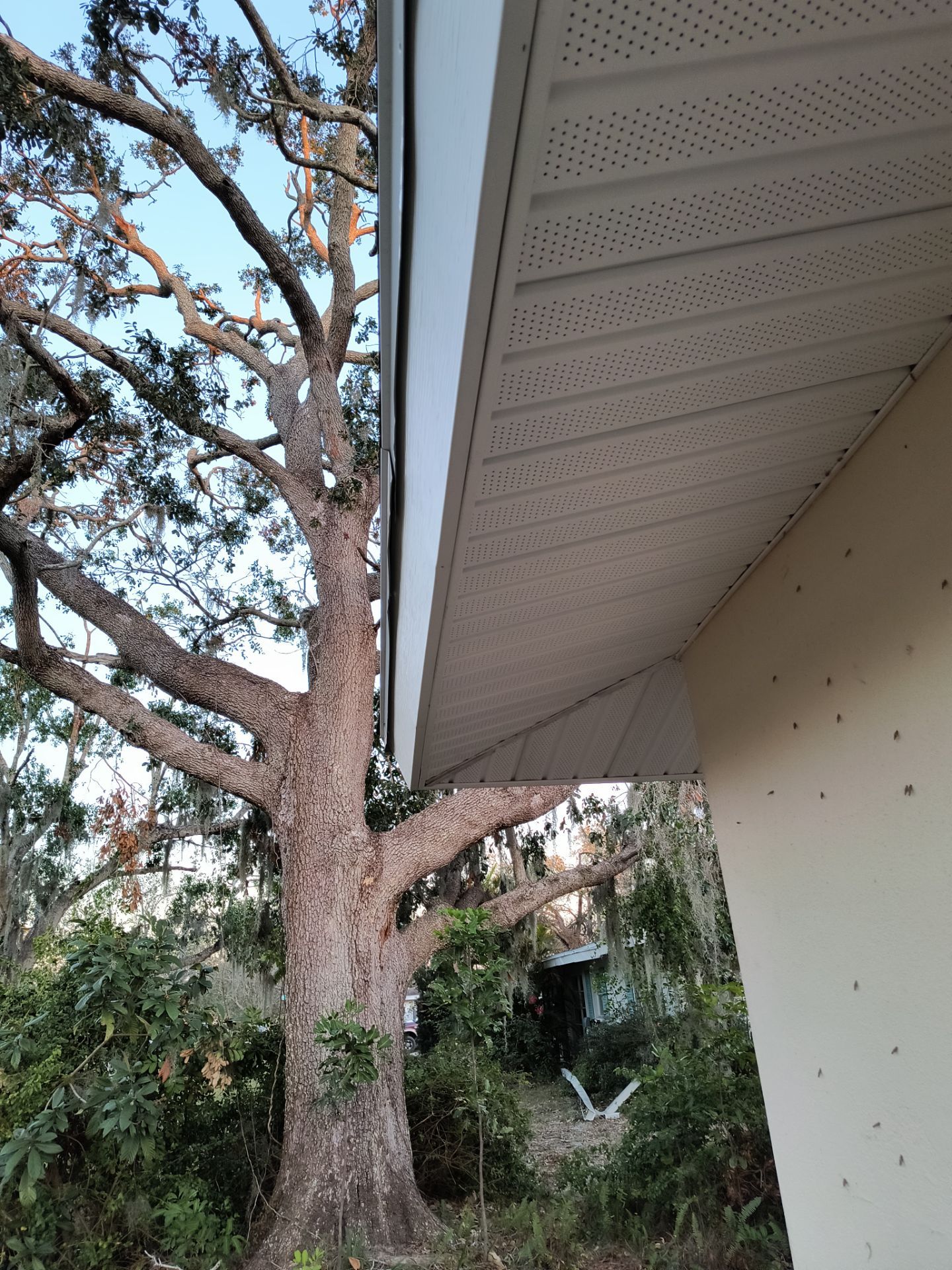 White Soffit and Fascia Upgrade in Sarasota FL by Gutter Professors