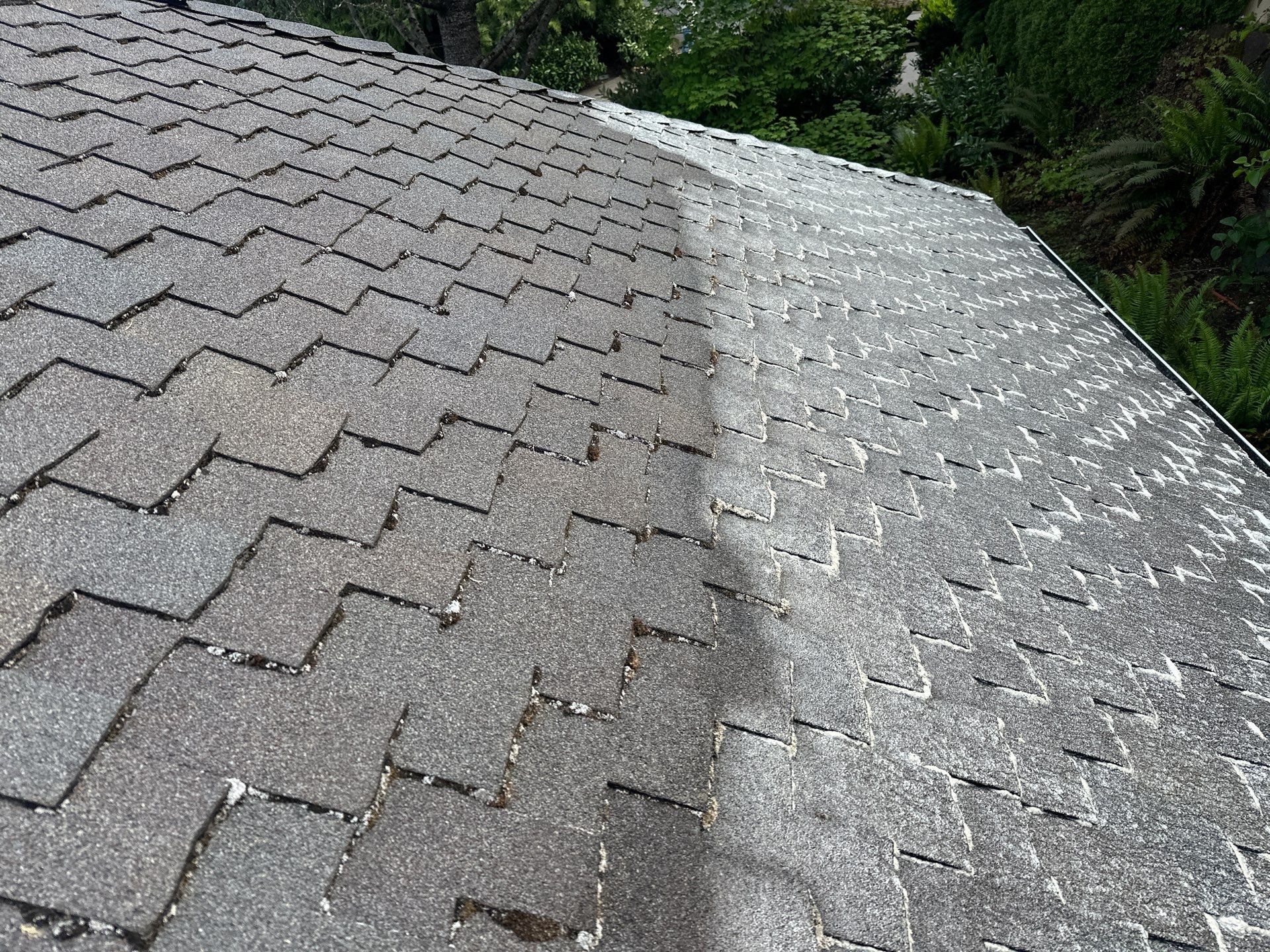 AGS Roof Wash in Sammamish by WindowWorks