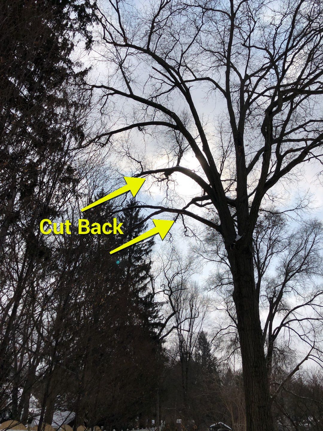 Firewood Delivery  using Seasoned Firewood by Mike Jones & Sons Tree Service LLC 