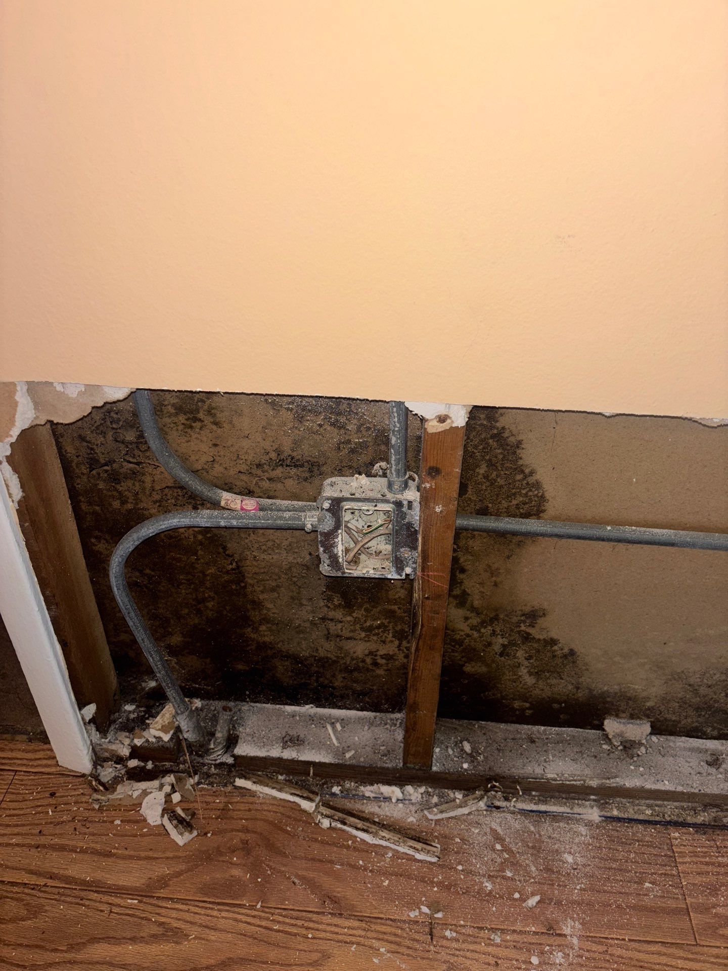 Commercial Mold Damage In Sarasota by Ampm Restoration Services