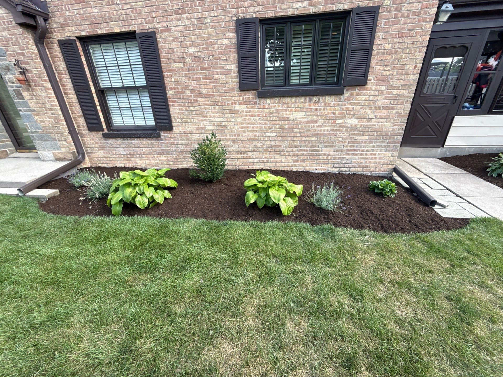 Chris S. - Mount Prospect, IL by A&N