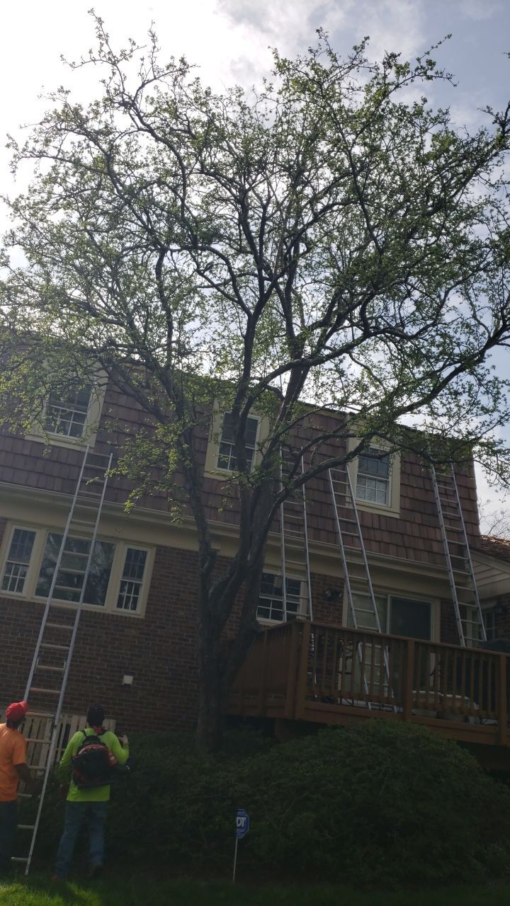 McLean Cedar Shake Roofing Project  by RM Banning, Inc.