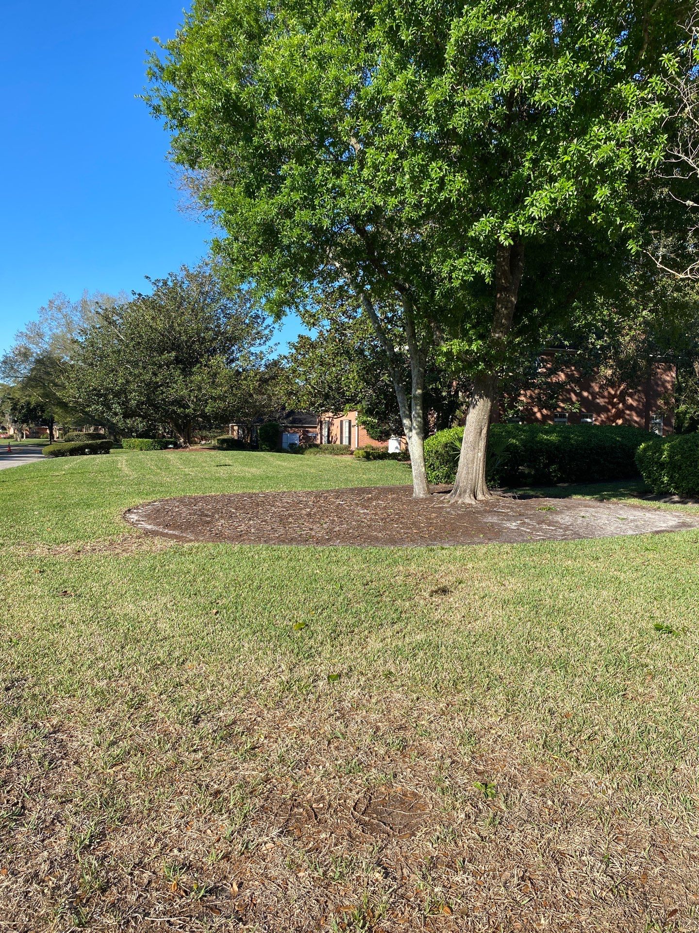 Deerwood Resident | Pine Bark Install by ProGreen Services