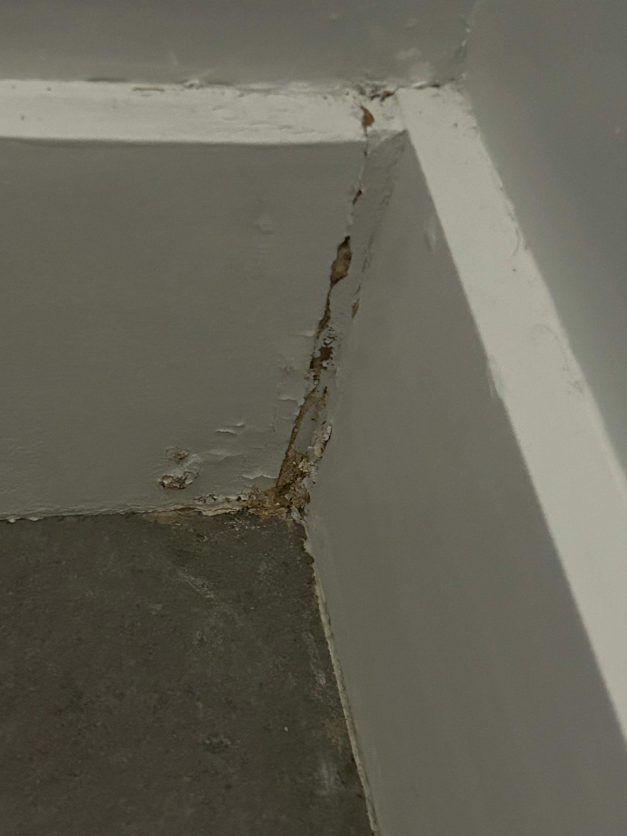 Water Damage Claim in Hollywood by FLAPA & KeyStone