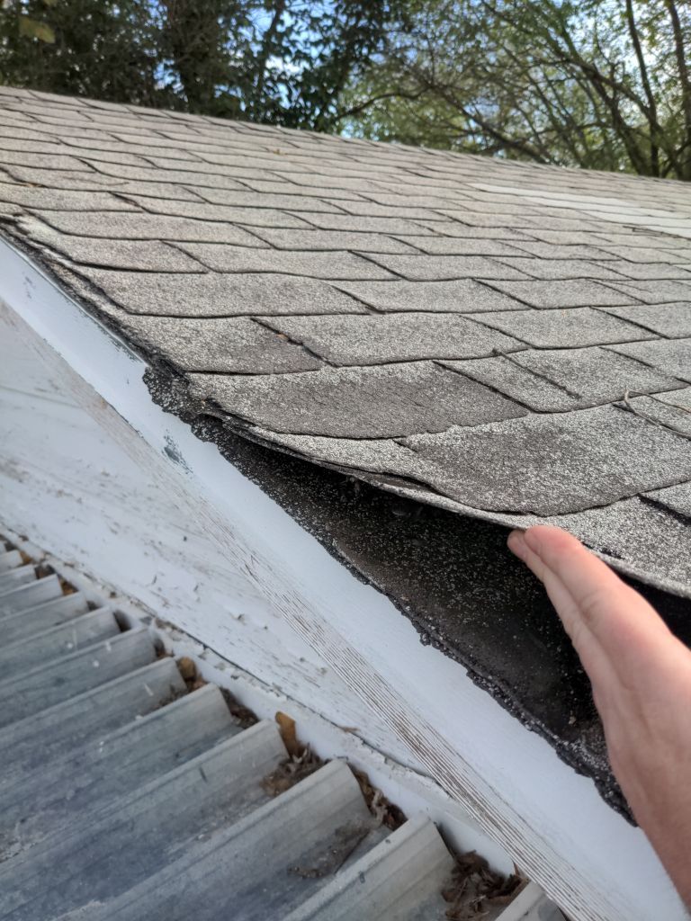 Roof Replacement in Central Fort Worth by Blackforest Roofing