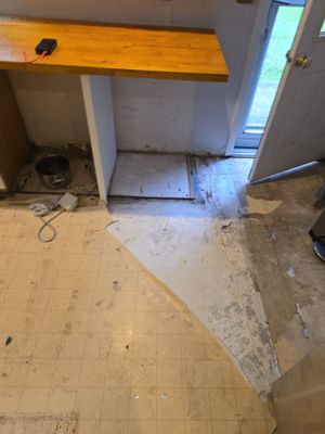 Project by BlueRed Restoration