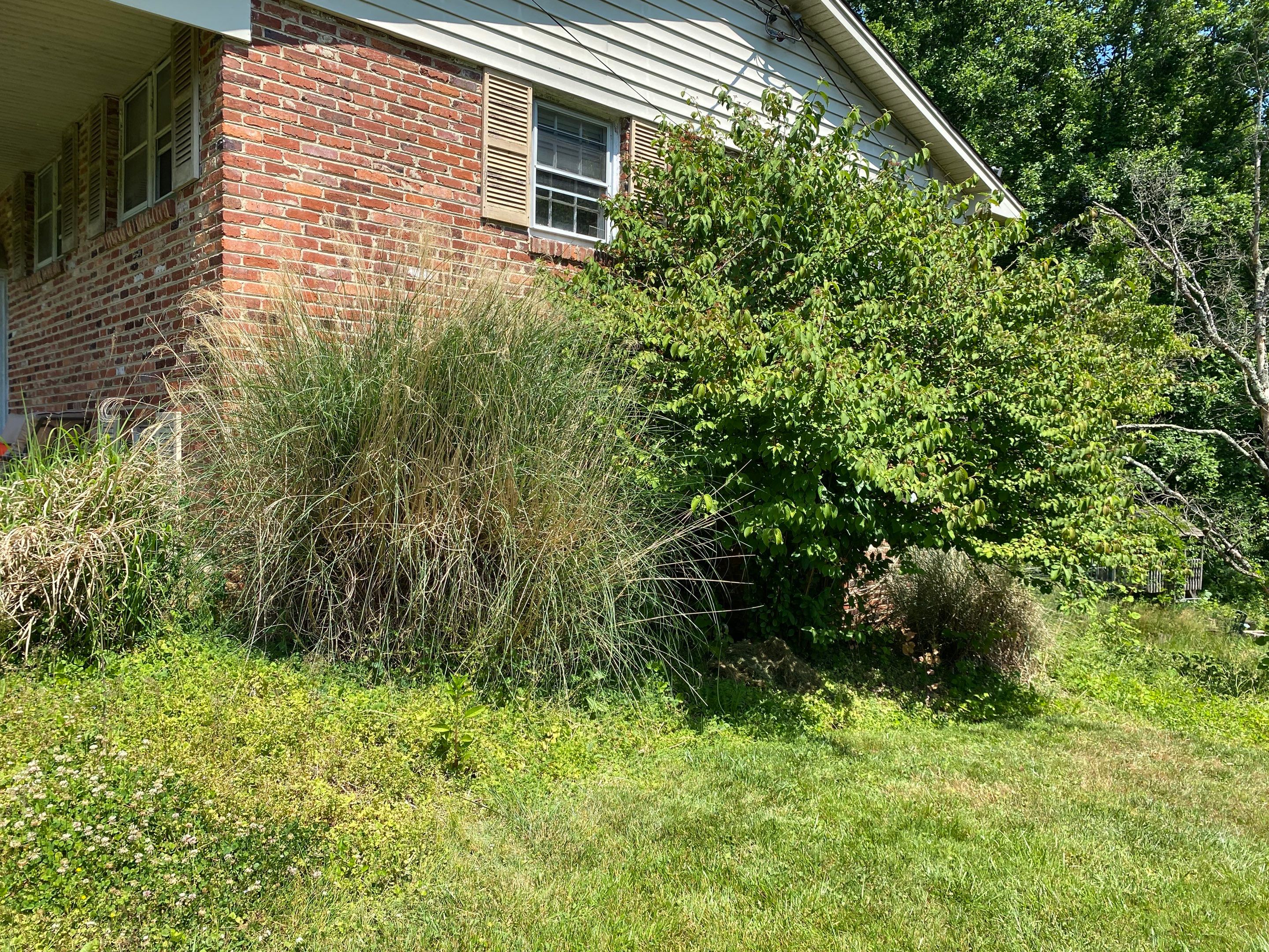 Landscape cleanup by The Smet Companies, LLC