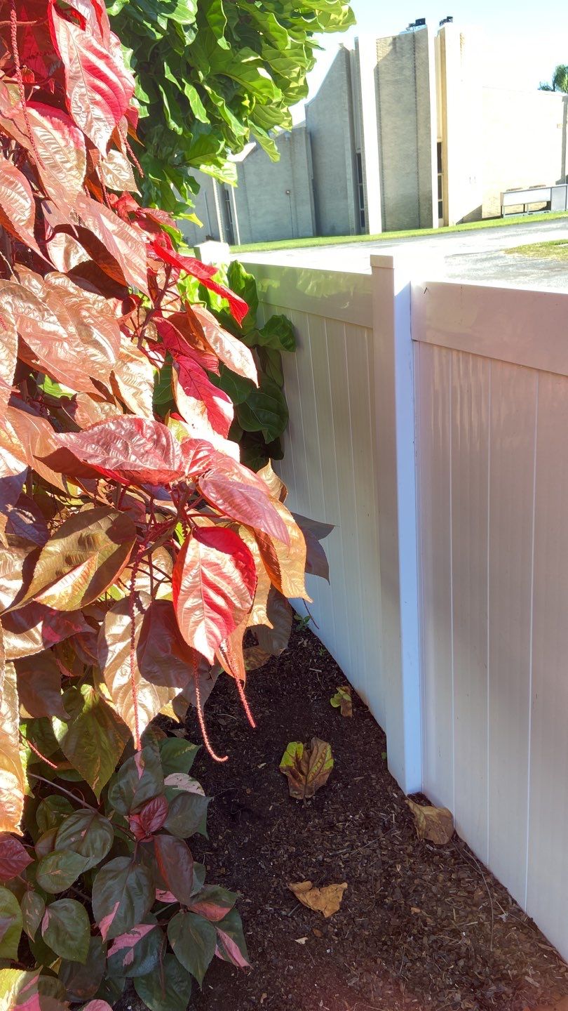 Bradenton FL 6 ft. Tall White Vinyl Privacy Fence  by Asap fence and gates, LLC