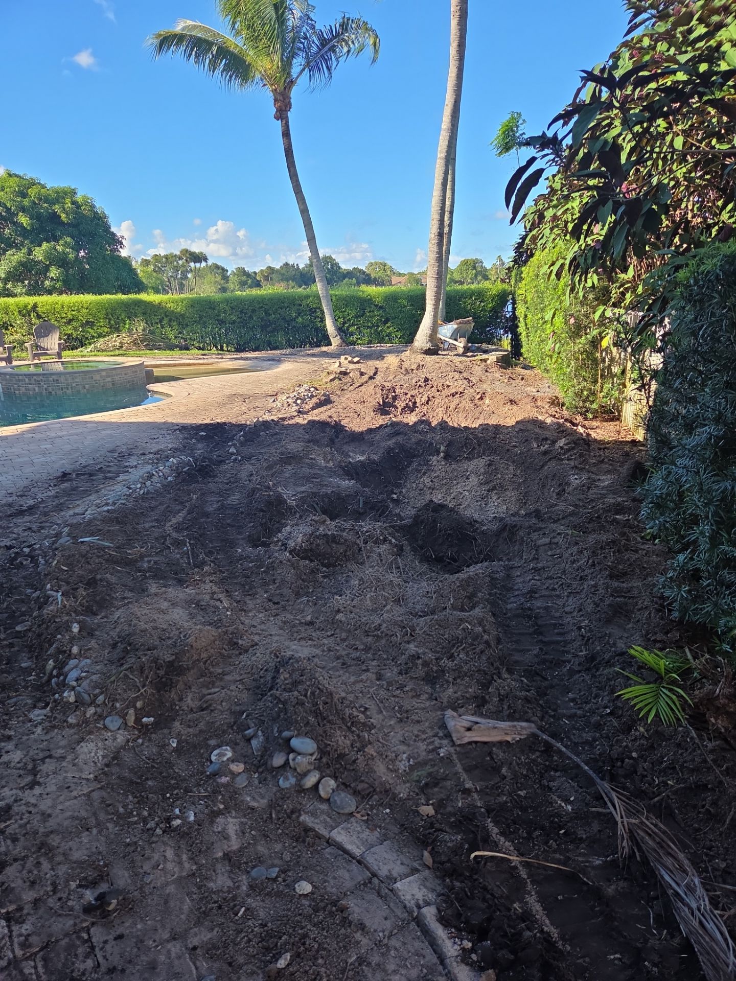 Hammock Creek Estate | Phase 1 – The Art of Precision Removal by Alpha Zeta Enterprises Inc