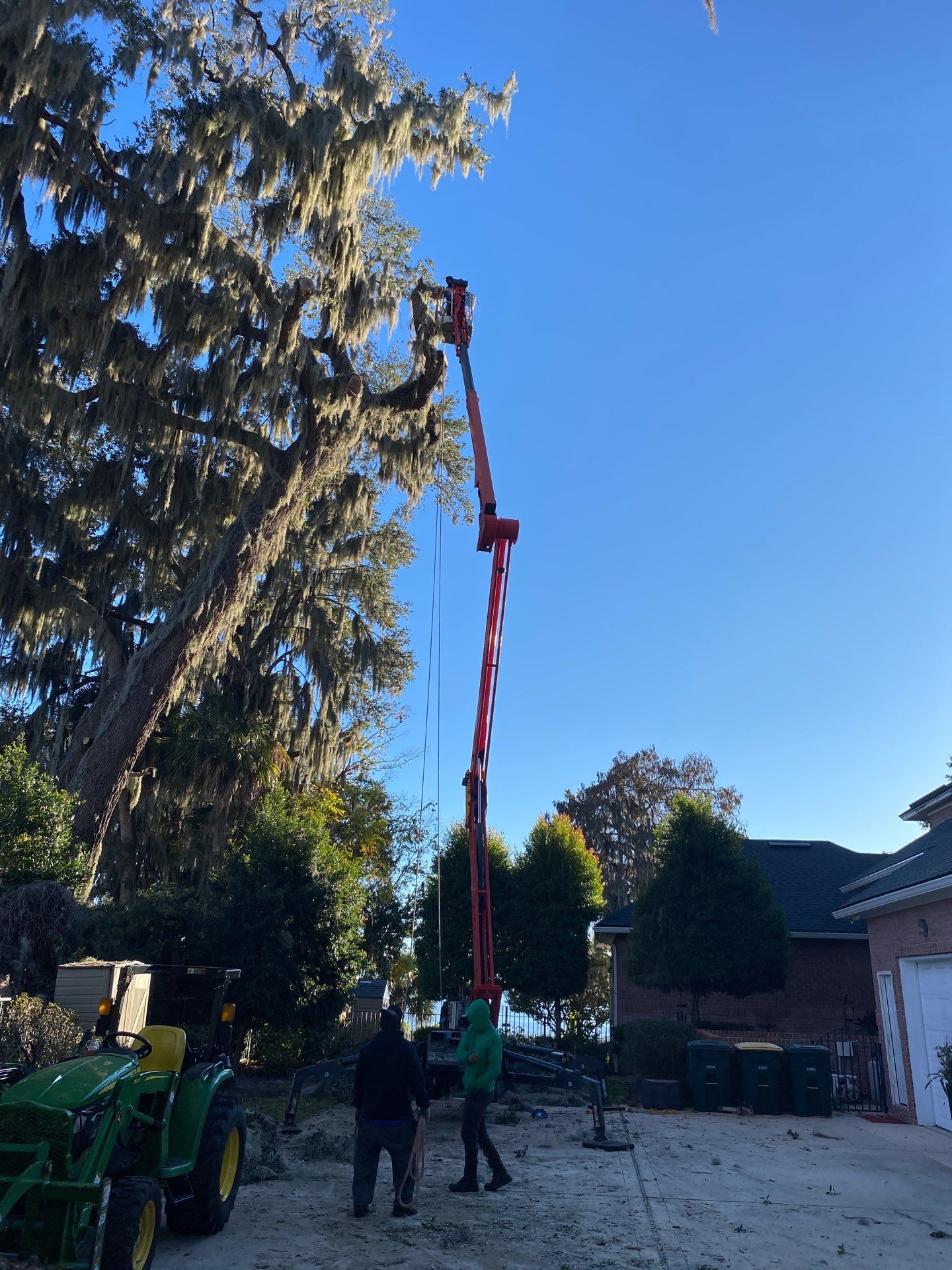 Residential | Tree Service by ProGreen Services