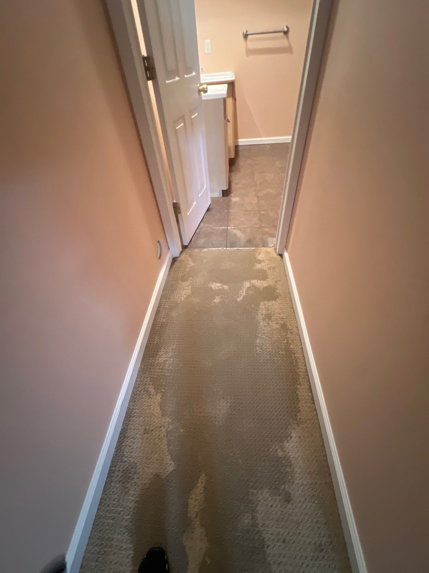 Project in Ann Arbor by EzDry Water Mitigation & Property Restoration