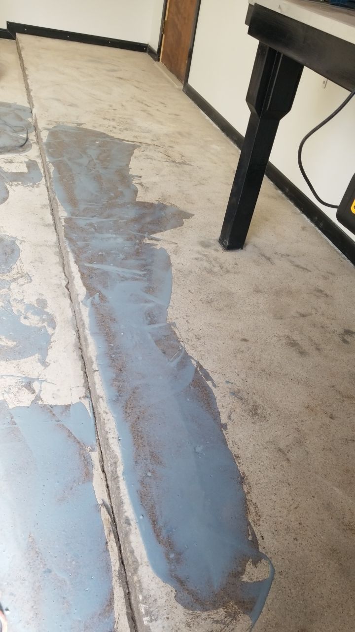 Installers have Feline supervision by Spectrum Painting, LLC