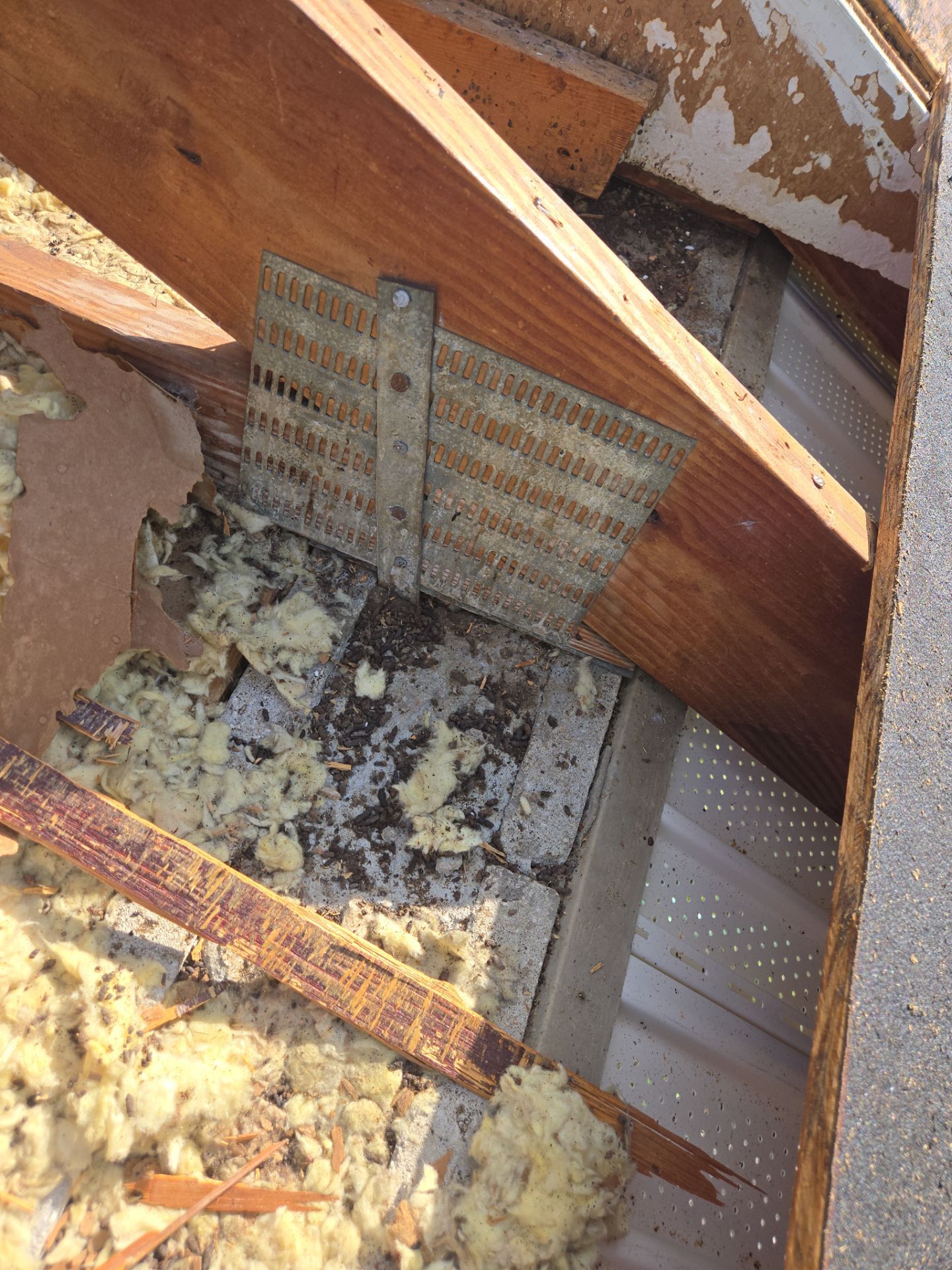 Project in Clearwater 33762 by Mitchell Roofing Company LLC