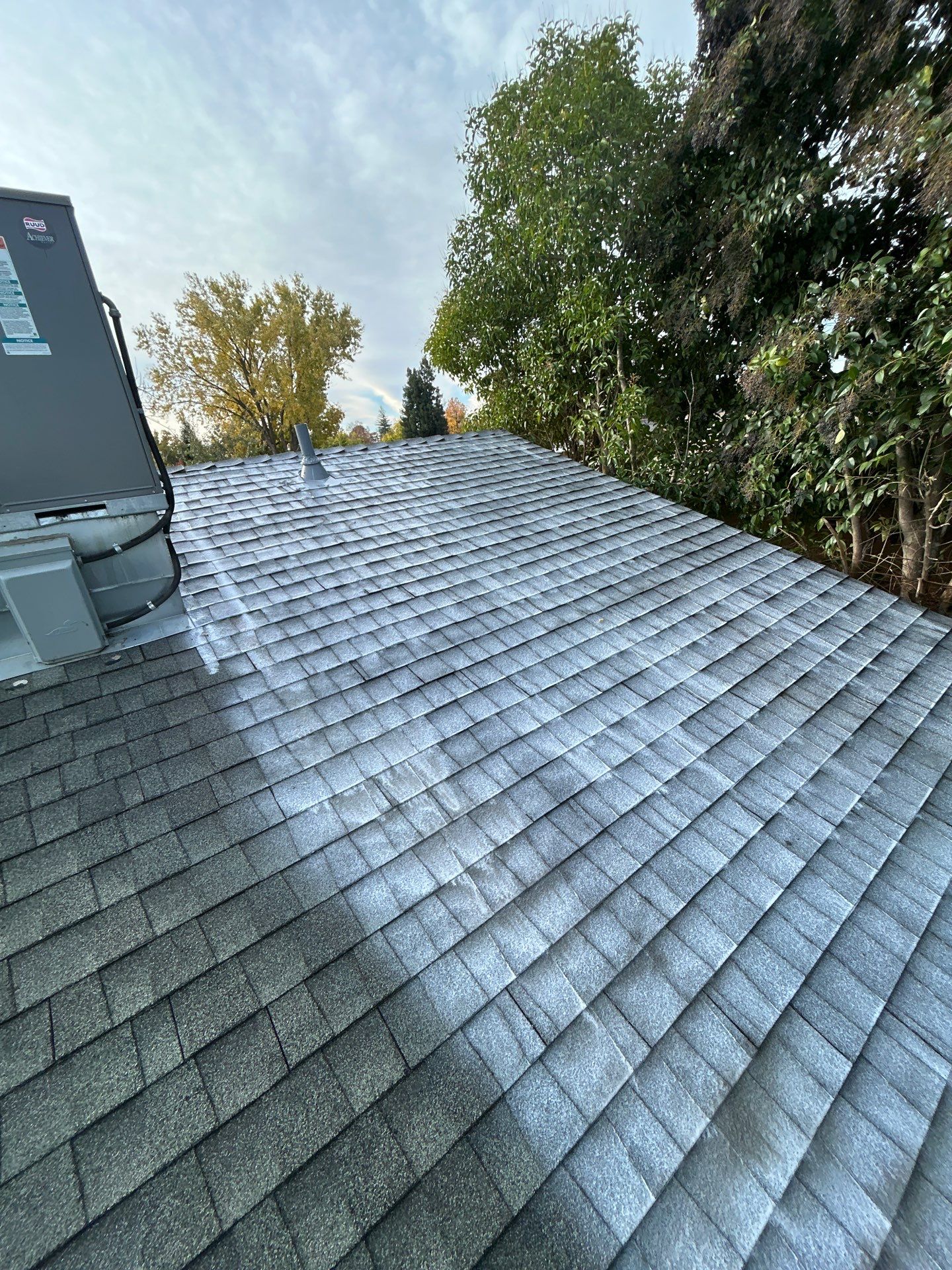 Roof Rejuvenation using Roof Maxx Treatment by Roof Maxx of Folsom