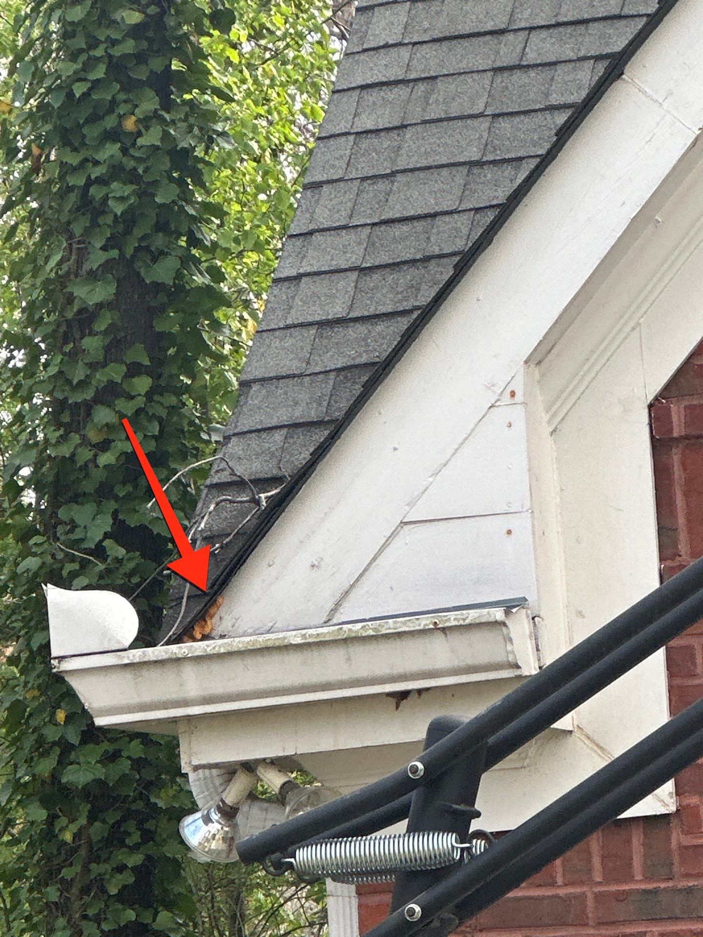 Roswell, GA Siding Replacement using James Hardie Lap Siding by Nelson Exteriors 