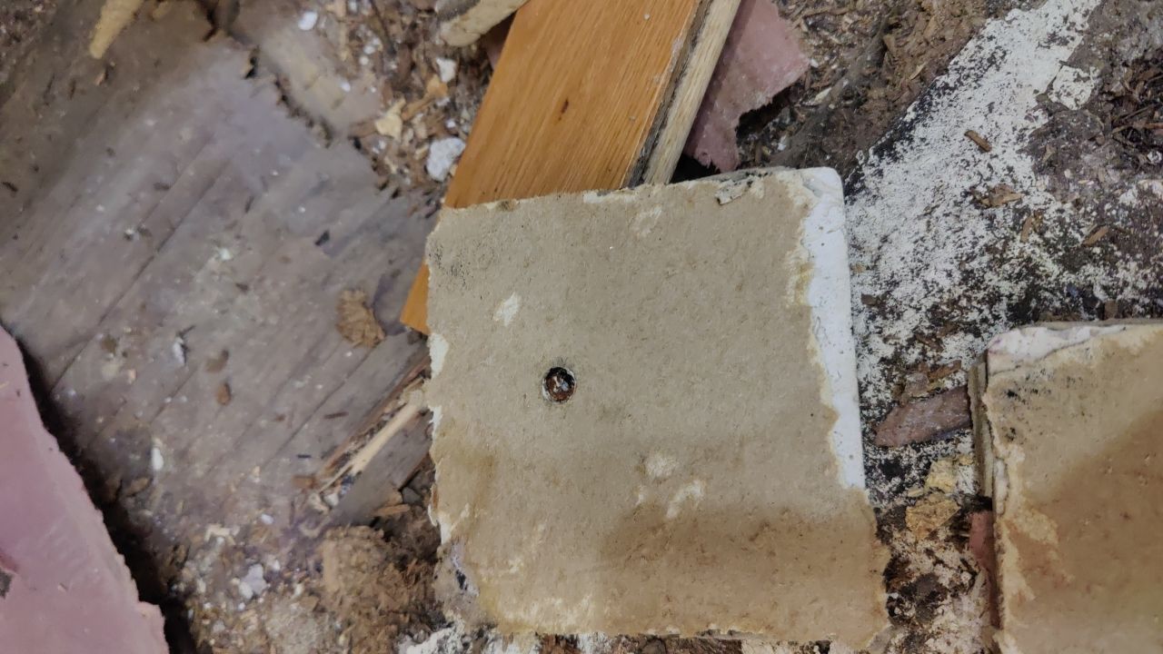 Mold Damage by Accountable Home Services