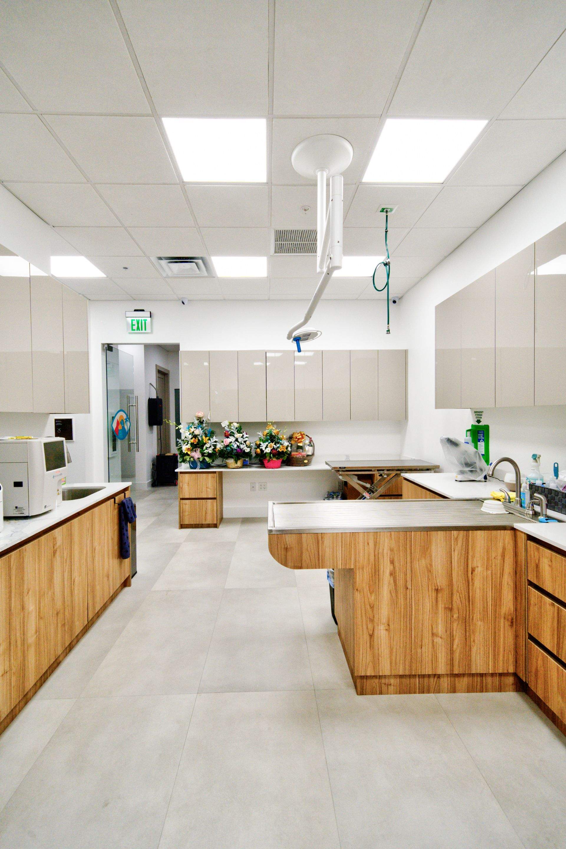 Happy Pet Eyes by Ruiz Construction Inc
