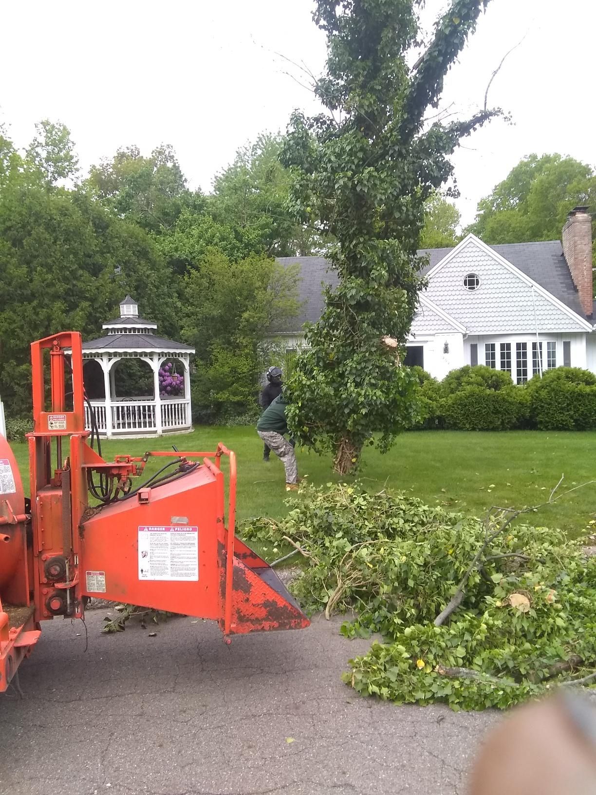 Tree Removal using Tree Removal by Mike Jones & Sons Tree Service LLC 