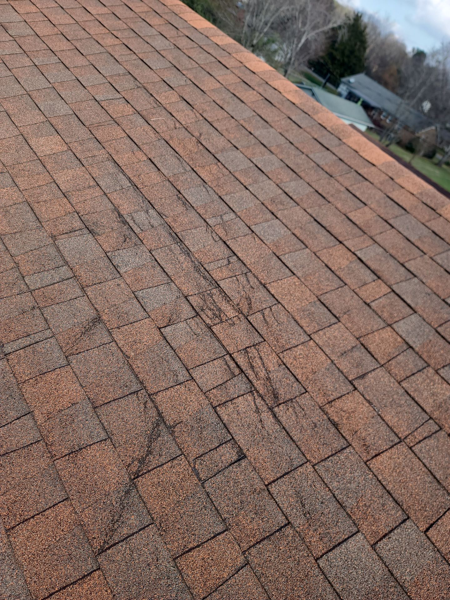 Morgan's Roof by BROCK BUILDERS 