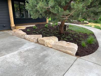 Landscape Renovation