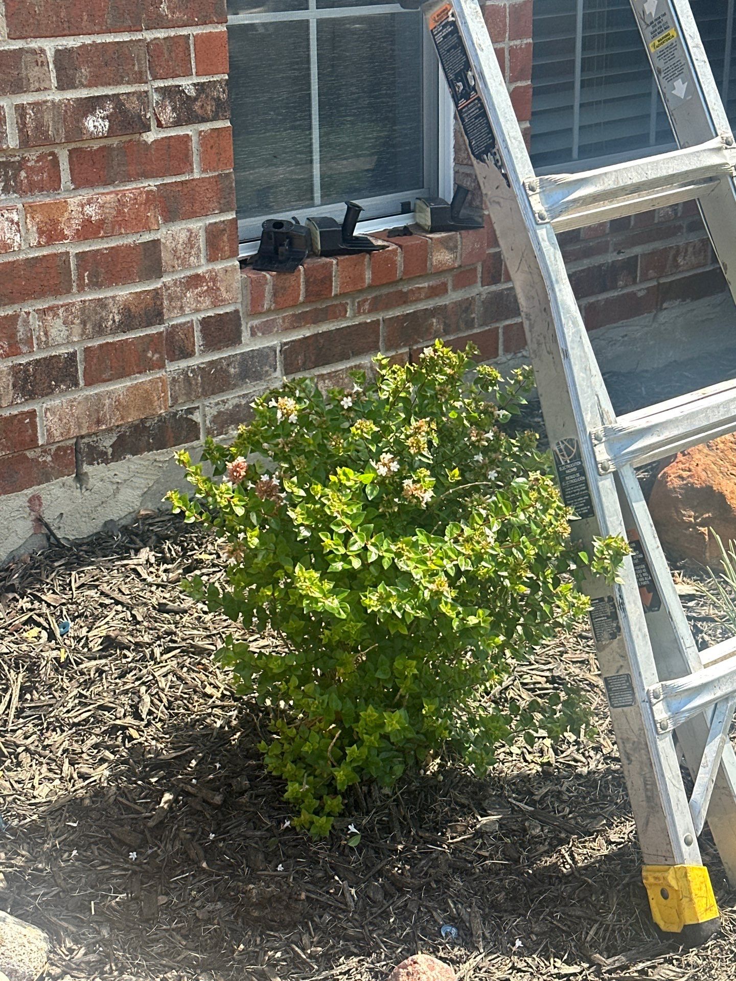 Project in Sachse by Rhino Roofing and General Contracting, LLC