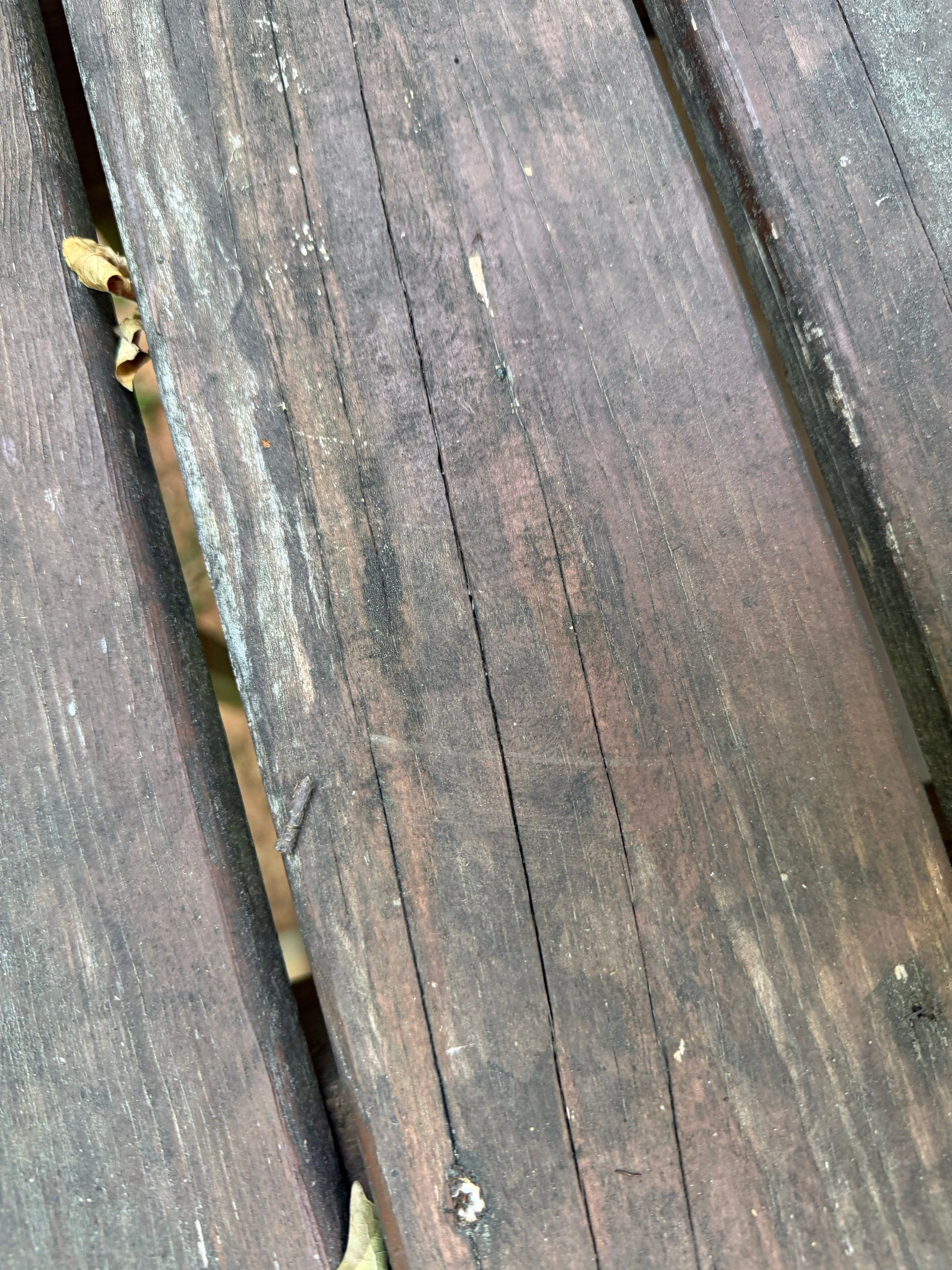 Deck using Wood Sealant by DuraSeal