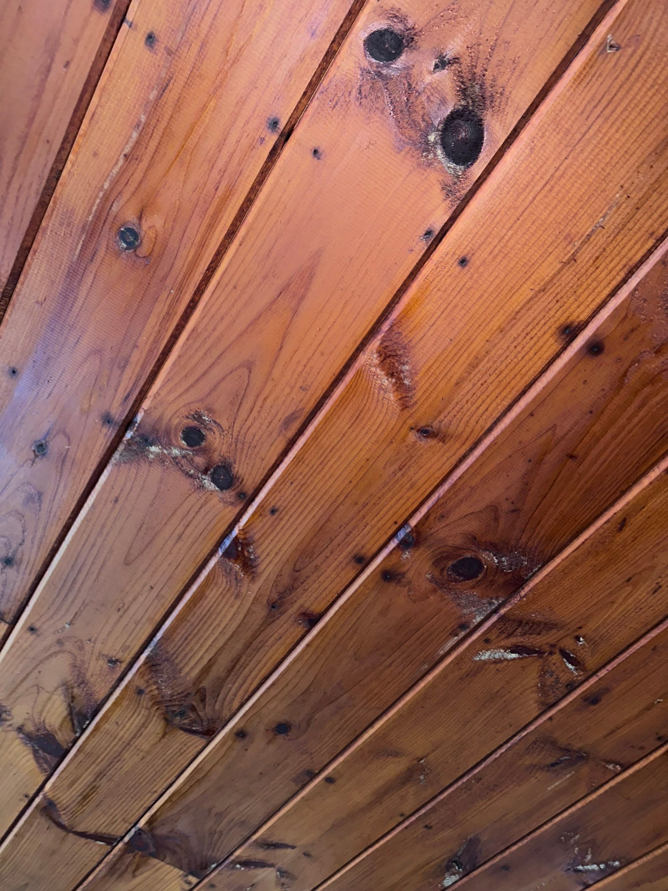 Entire Home Remediation by Home Guarantee, LLC