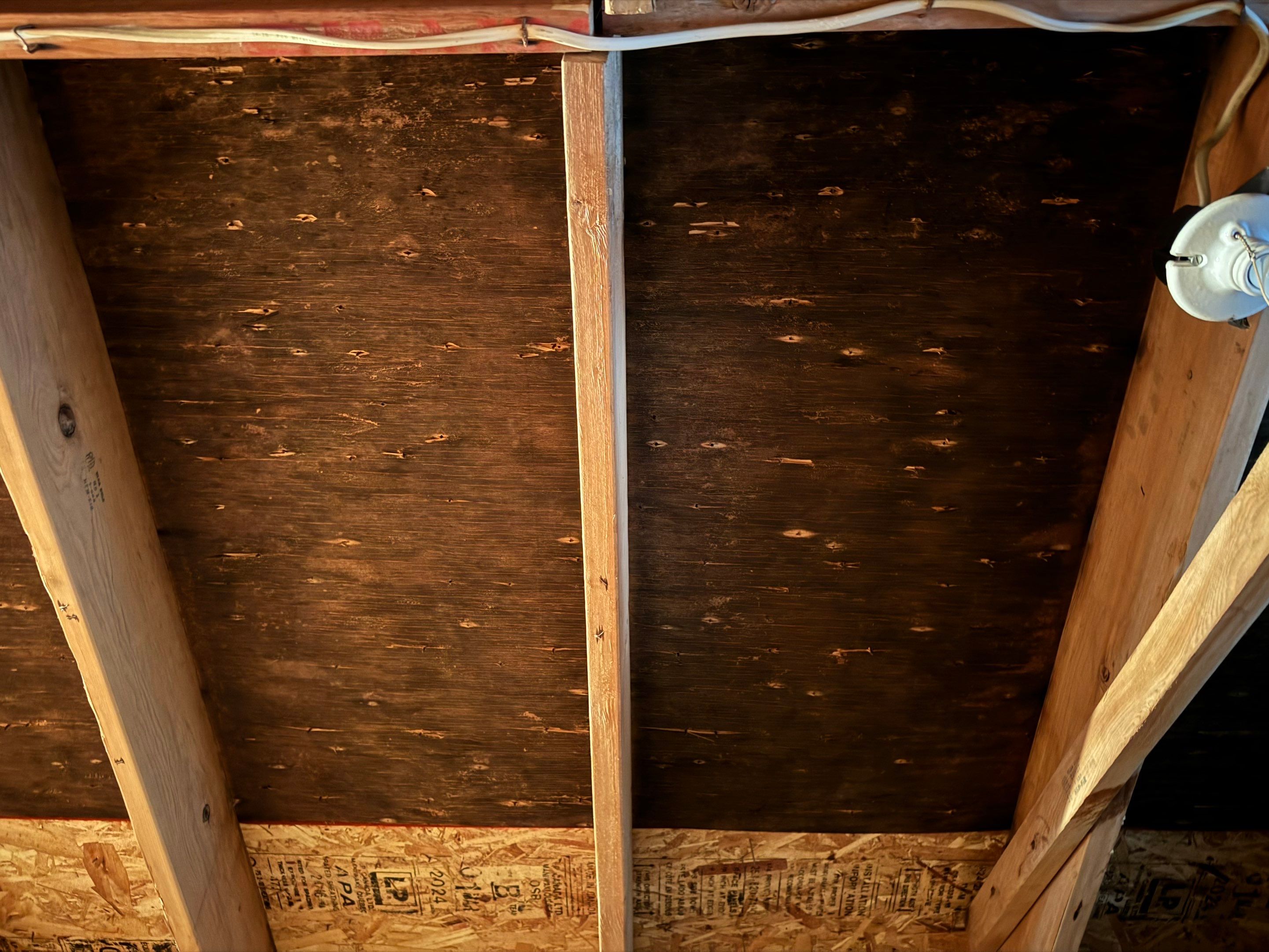 Attic Mold Remediation by Home Guarantee, LLC