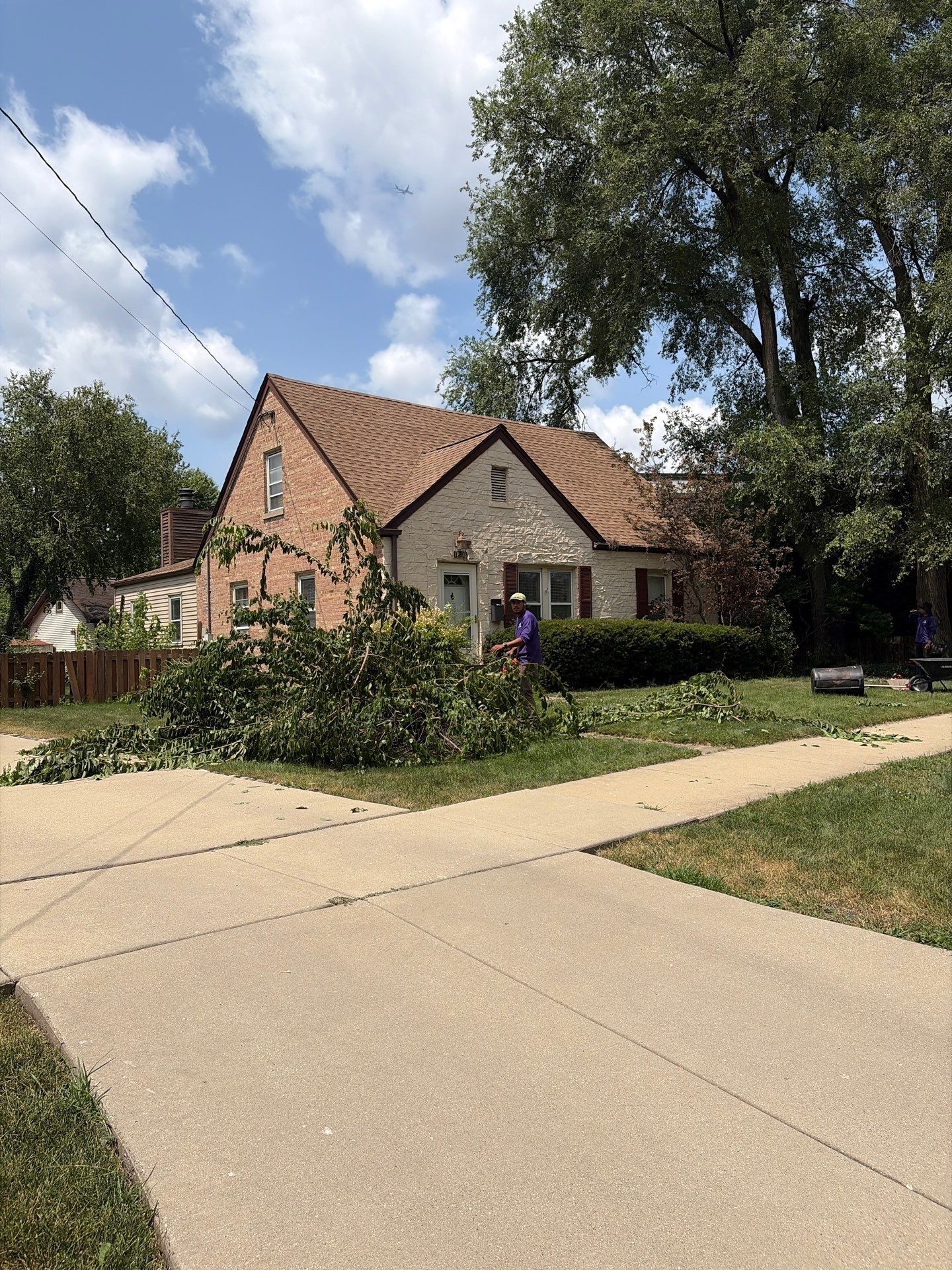 Sean D. - Arlington Heights, IL by A&N