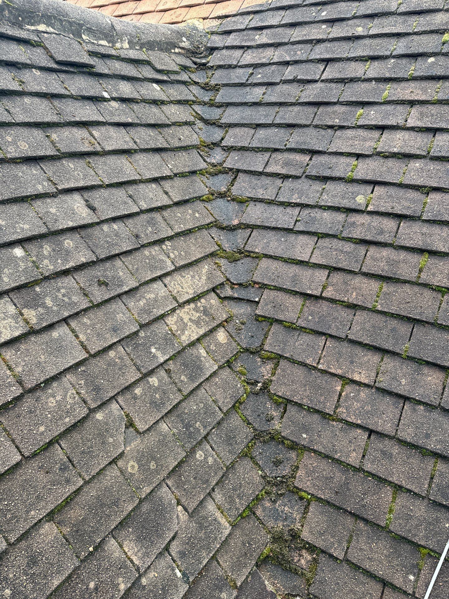 Roof and Patio Cleaning using Honda 15lpm Low Pressure Washing Machine by Ges Exterior Cleaning ltd