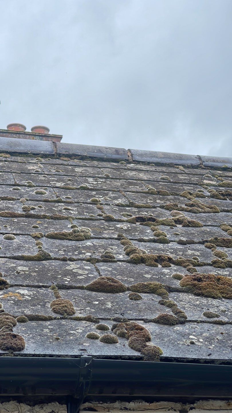 Roof Clean  - Moss Removal - Gutter Clean using Honda 15lpm Low Pressure Washing Machine by Ges Exterior Cleaning ltd
