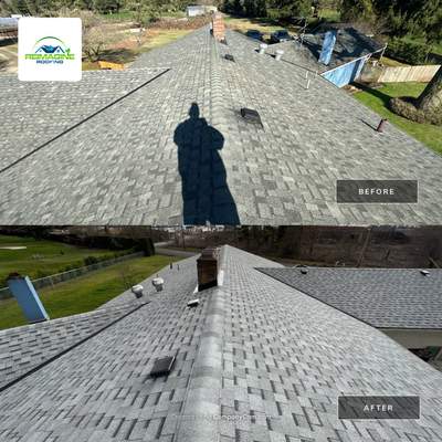 Birchwood Shingles