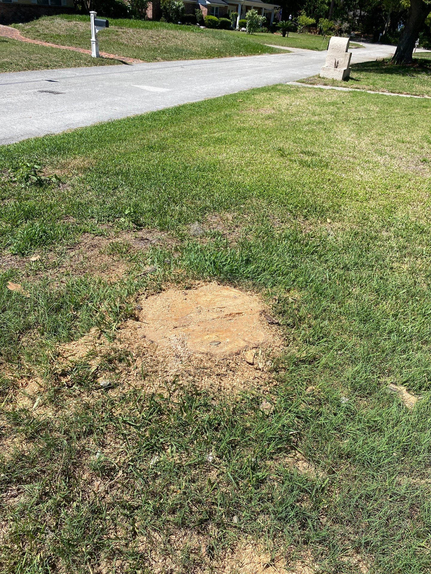 Residential | Tree Removal & Trimming by ProGreen Services