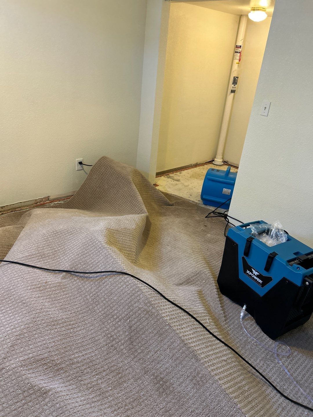 Mold Remediation by Accountable Home Services