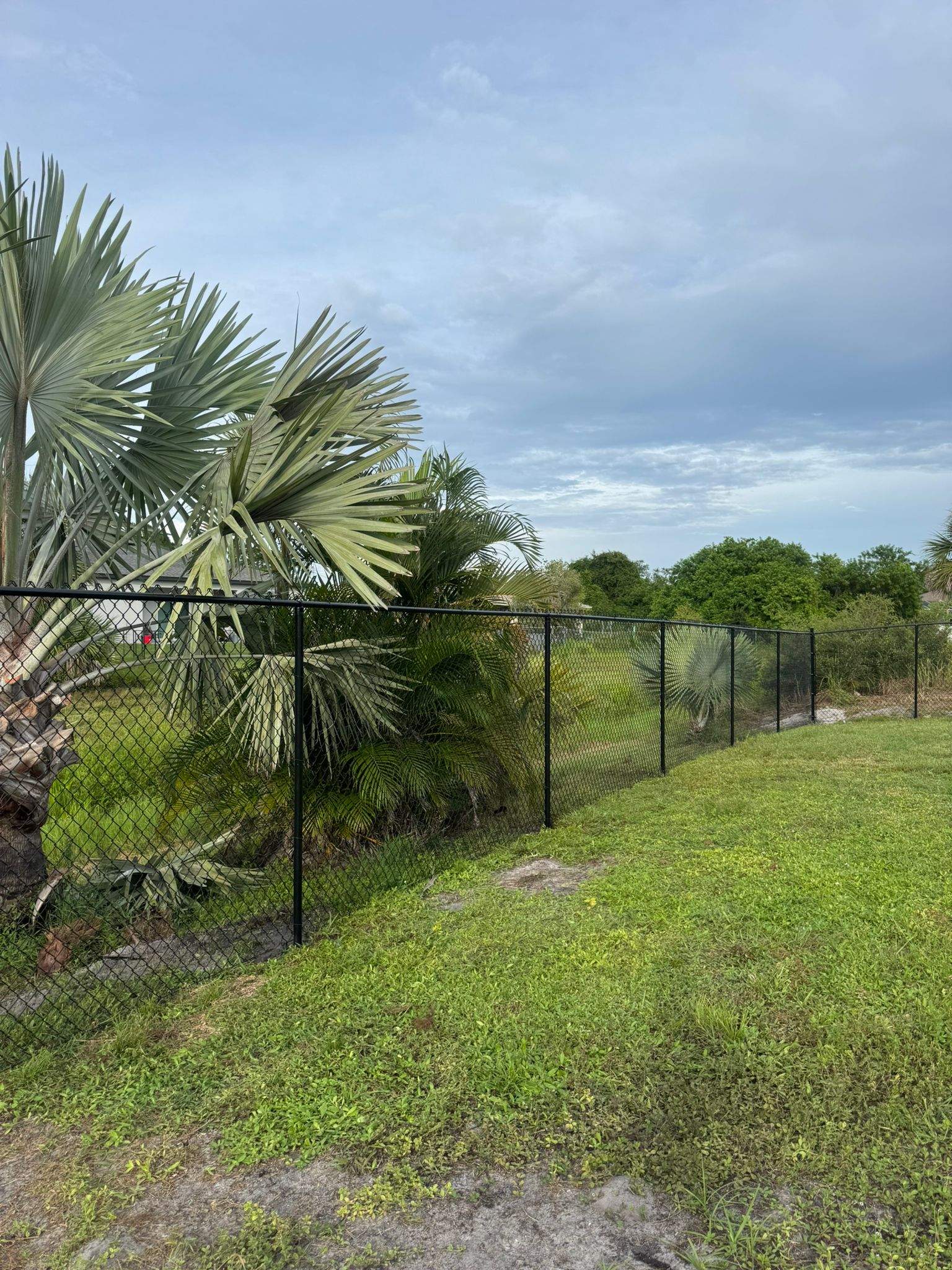 Black Vinyl-Coated Chain Link Fence and Gate Installation in North Port by True Fence LLC
