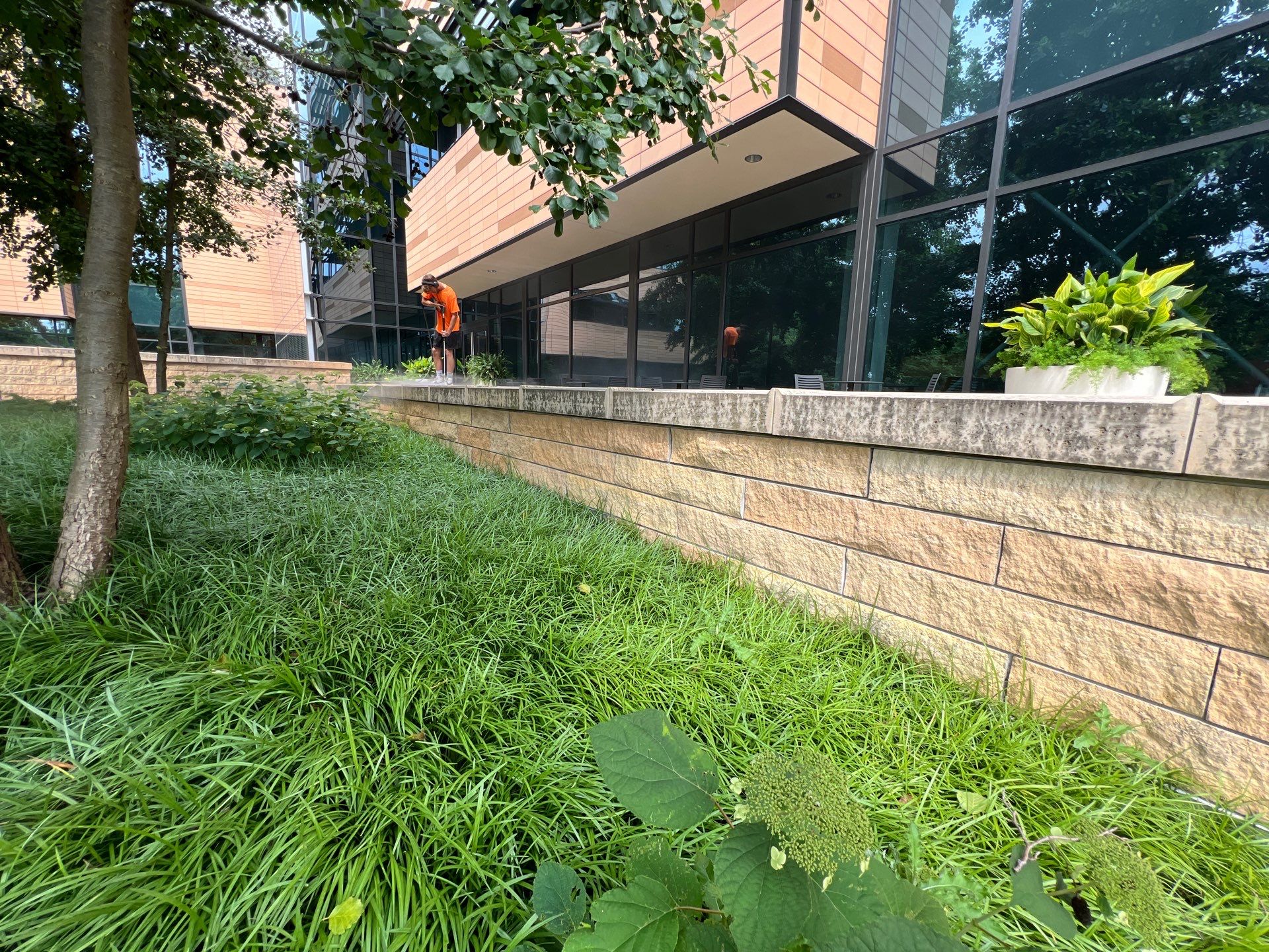 natural stone using Algaecide, soft wash soap by Northern Power Washing LLC.