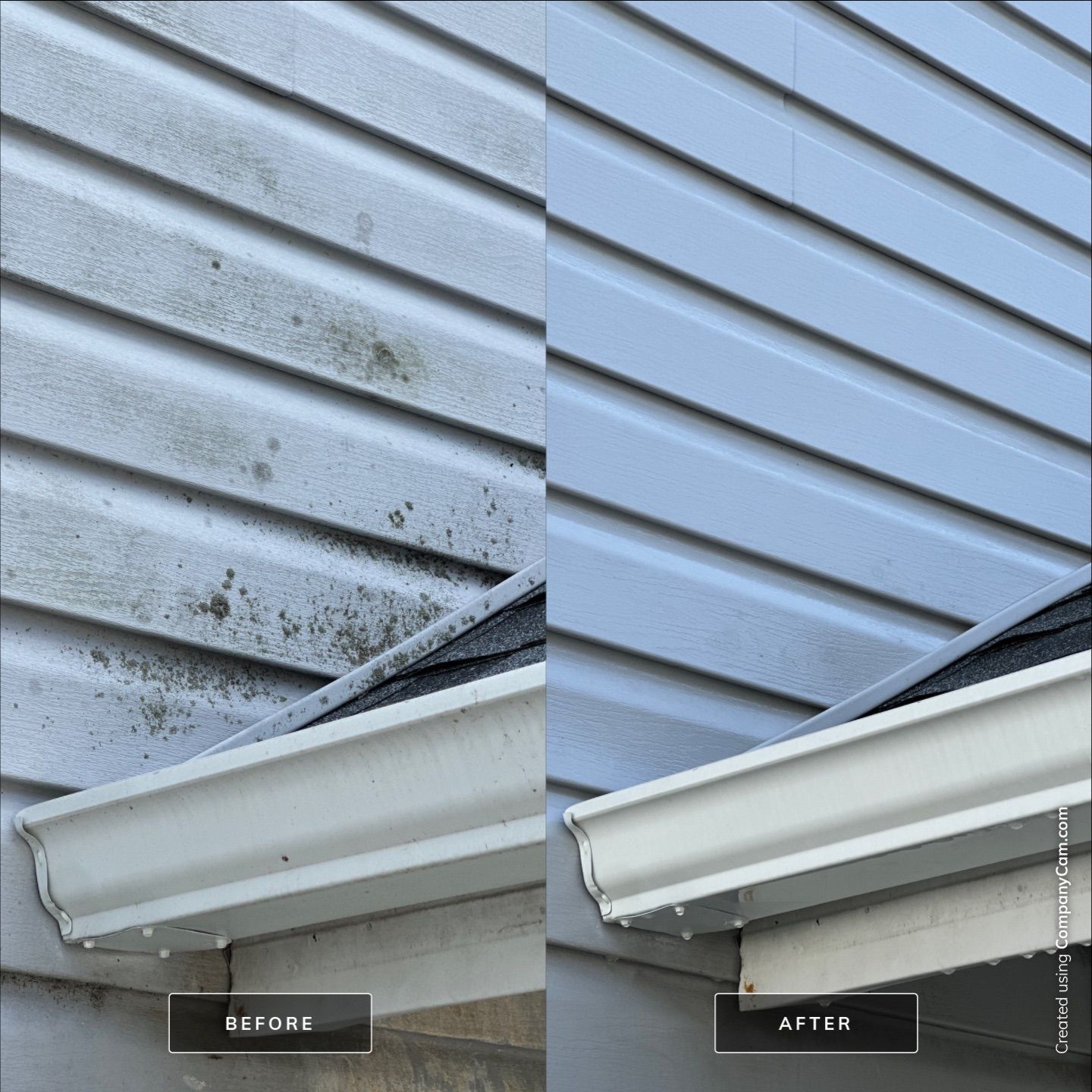 Project in Berkeley by Simmons Power & Soft Washing