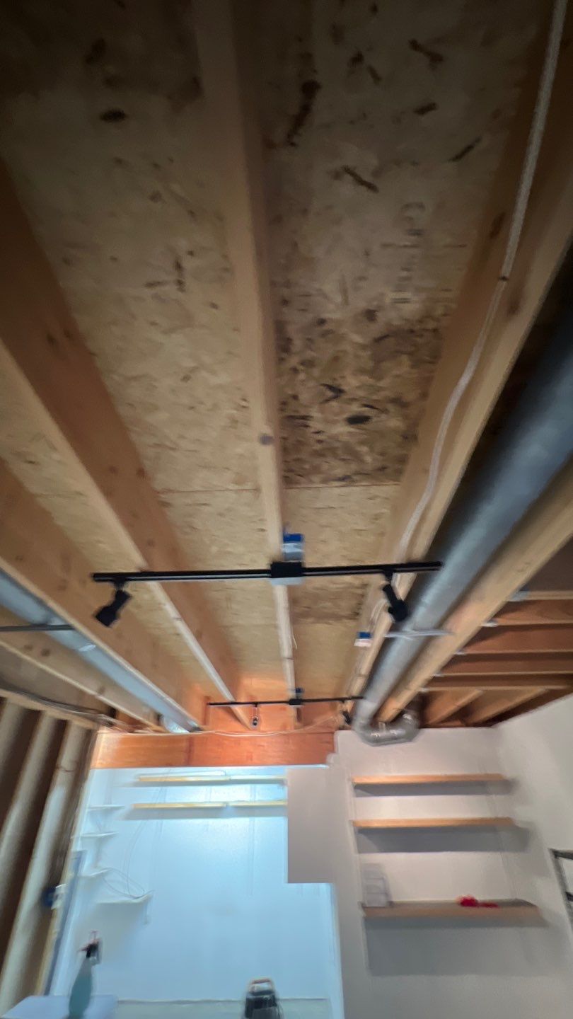 Mold Damage by Accountable Home Services