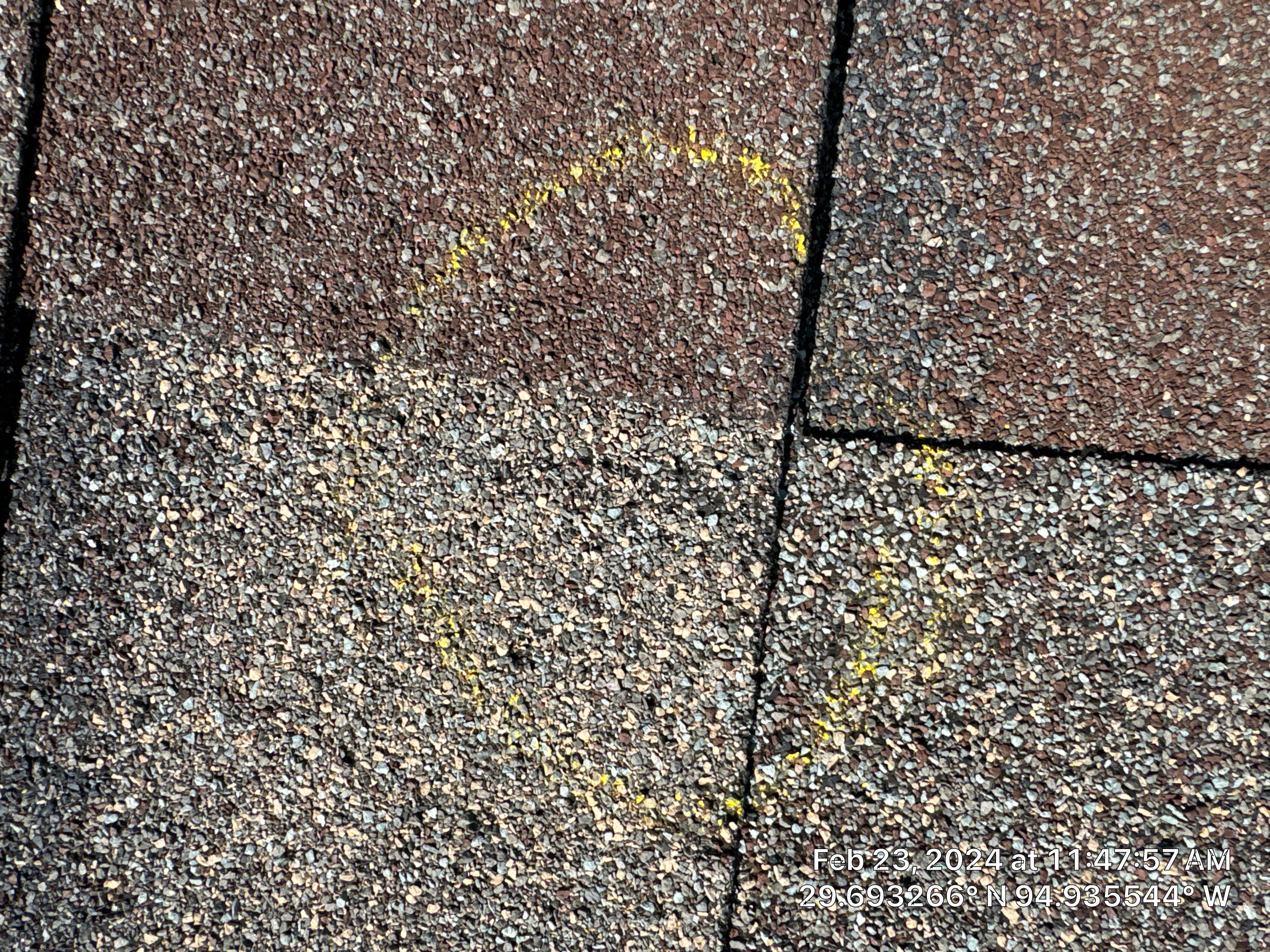 Hail Damage by Southern Belle