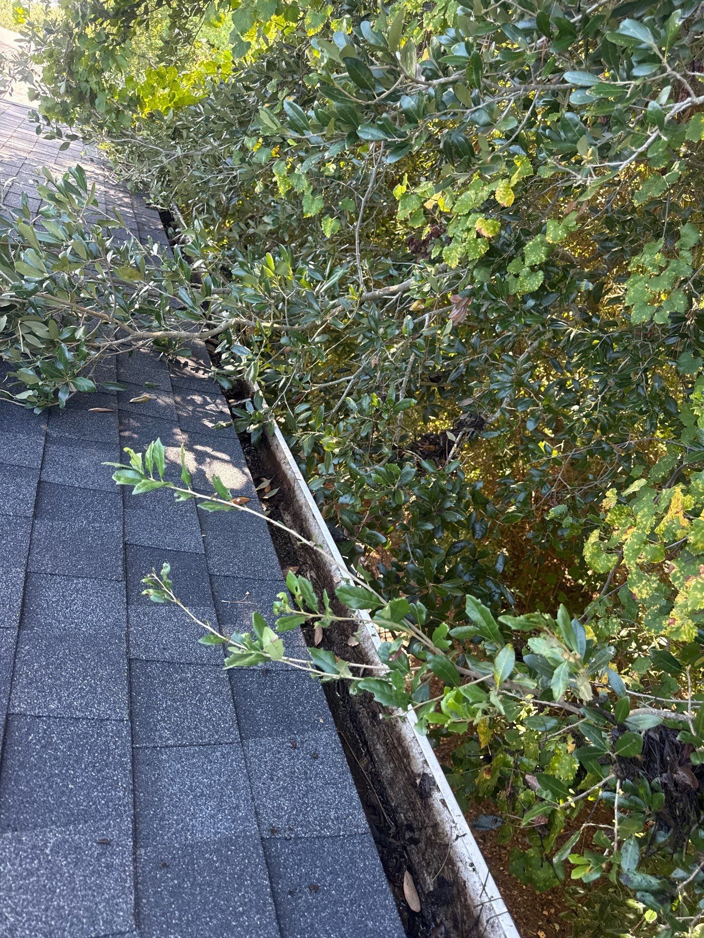 HOA gutter cleaning in St. Johns County & Ponte Vedra, FL, after  photo showing full gutters.