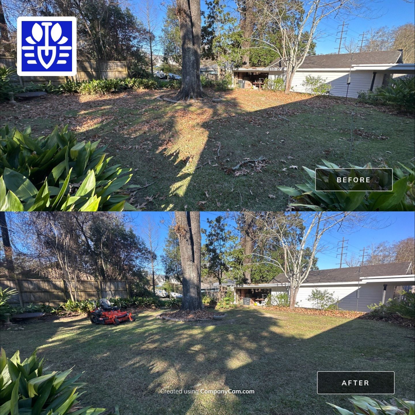 WINTER SERVICES: FULL LEAF JOB by CutScape, LLC.