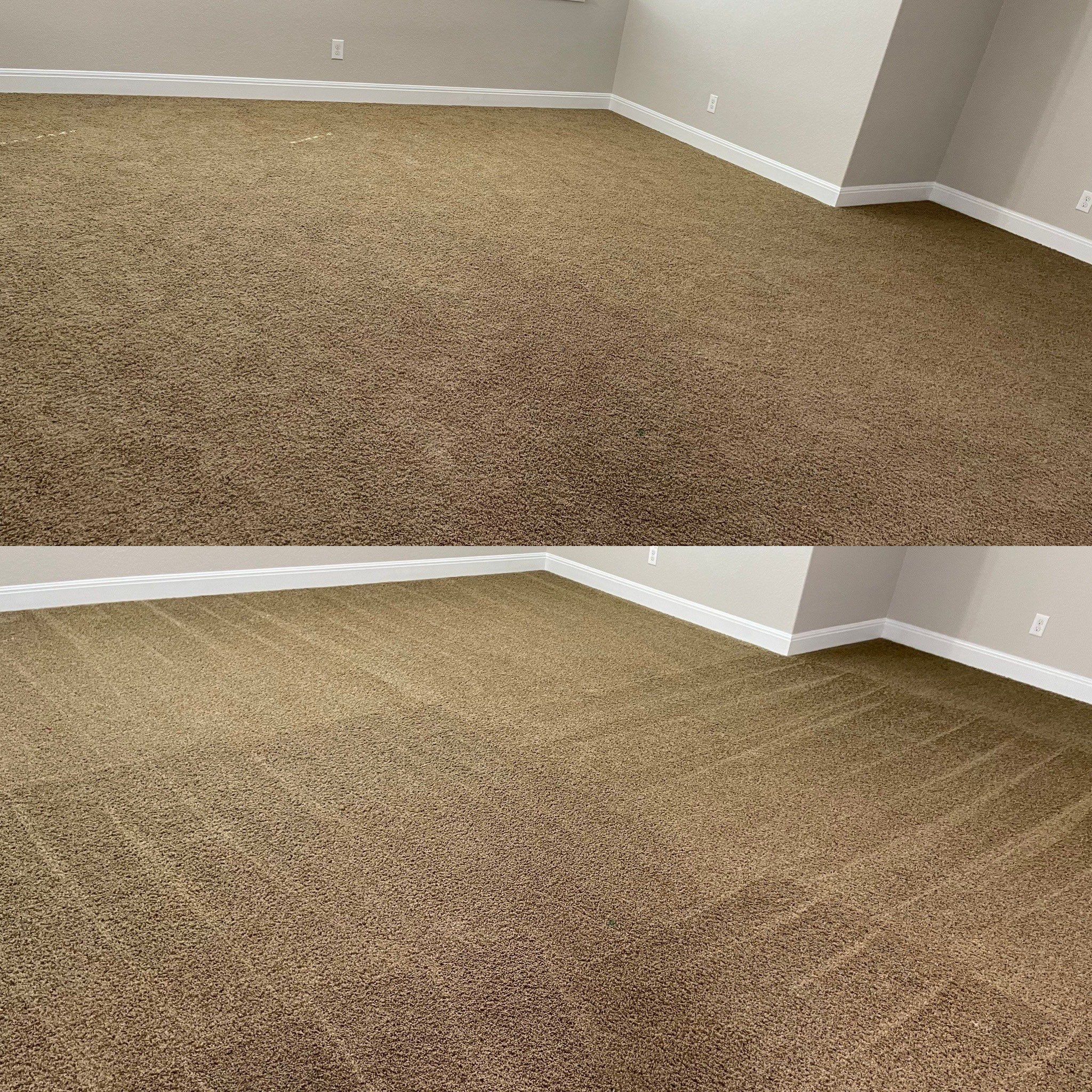 carpet cleaning service has refreshed and deep cleaned the carpet removing dirt and leaving visible cleaning lines