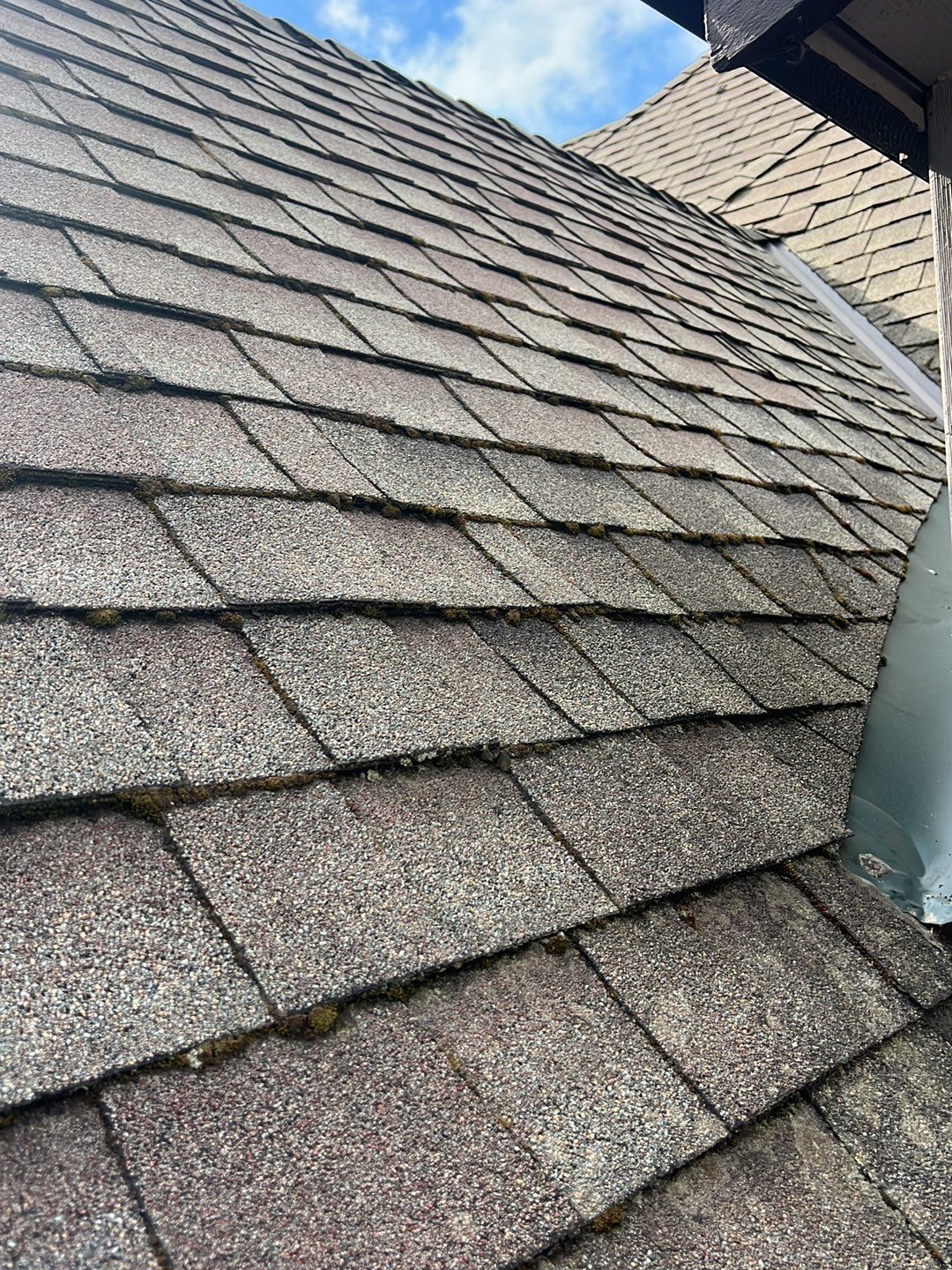 Residential Roofing Installation using Malarkey Windsor 50 Year Shingle (Color: Storm Grey) by Orezona Building & Roofing Company, Inc.