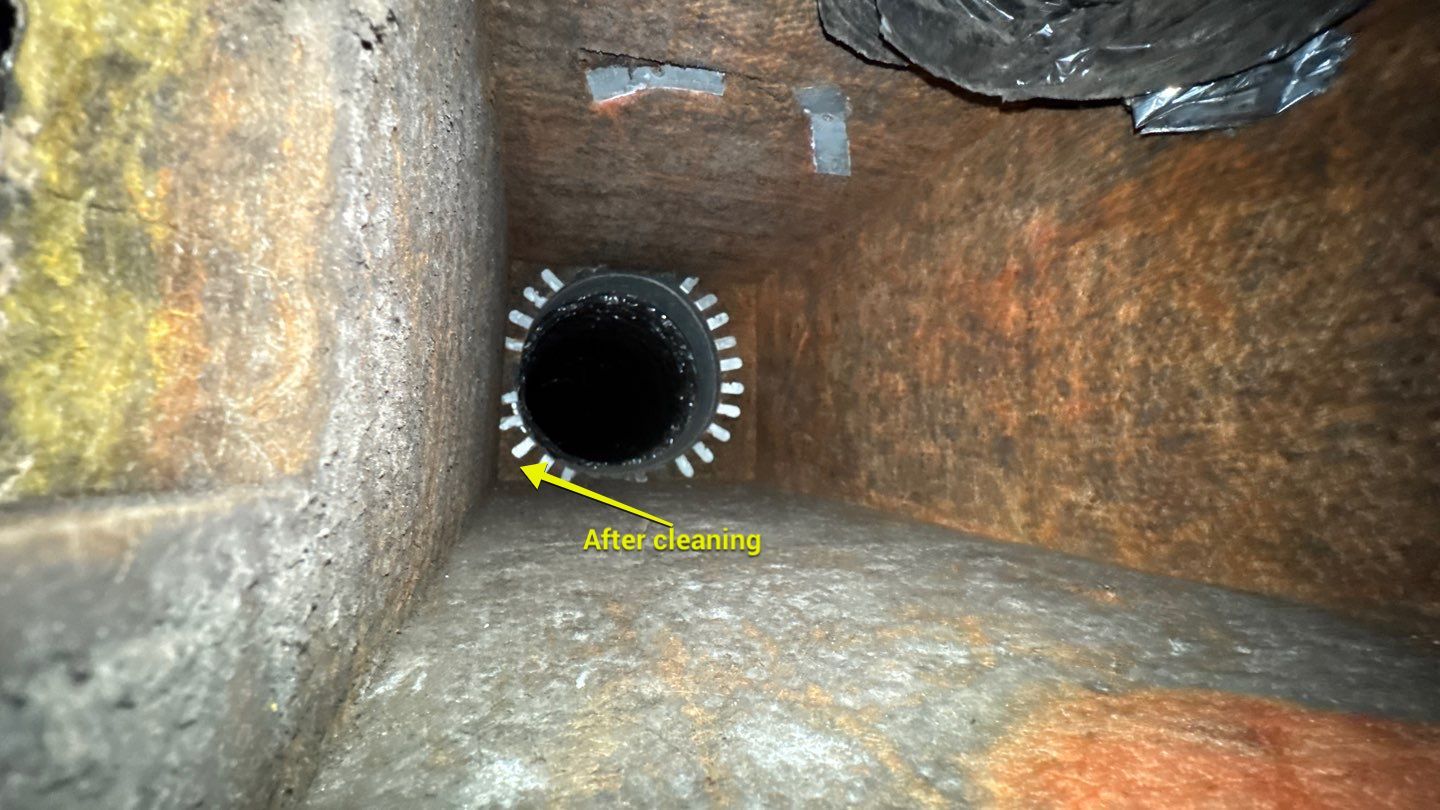 Extremely Dirty Air Duct Cleaning in Fruitland Park by Hygienic Air, Inc