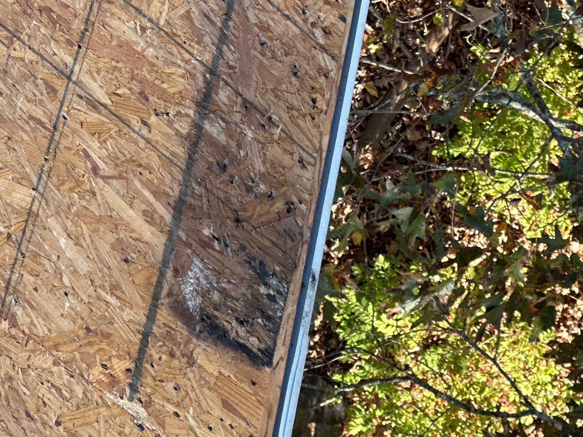 The Murners by United Contracting and Roofing