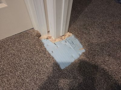 Bonded Insert, Carpet Repair in Folsom