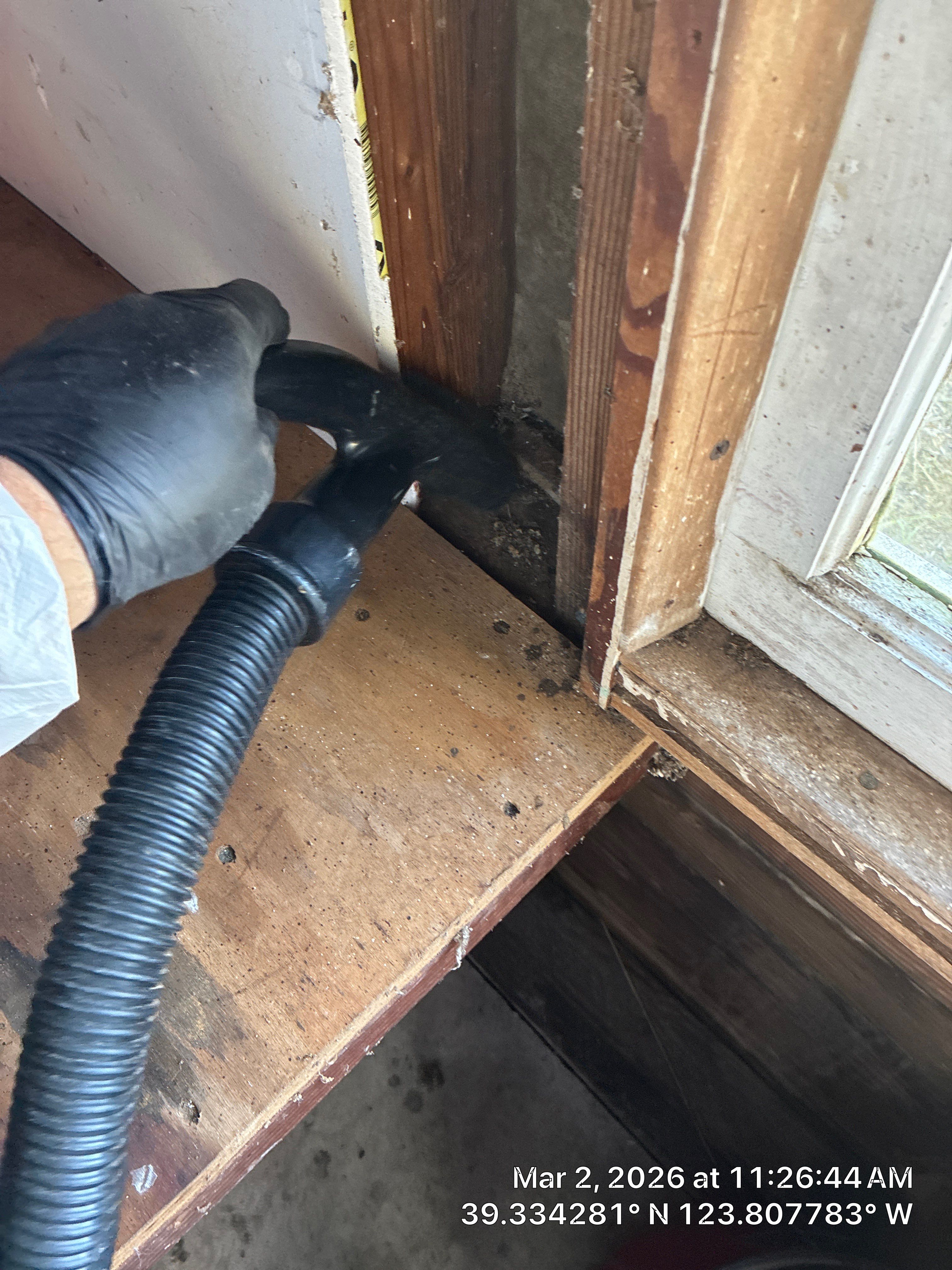 Project in Mendocino by 911 Hazmat Cleanup 